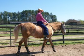 207572_1896088275496_5939561_n[1]